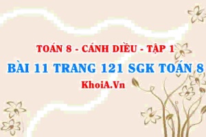 Bài 11 trang 121 SGK Toán 8 tập 1 Cánh Diều